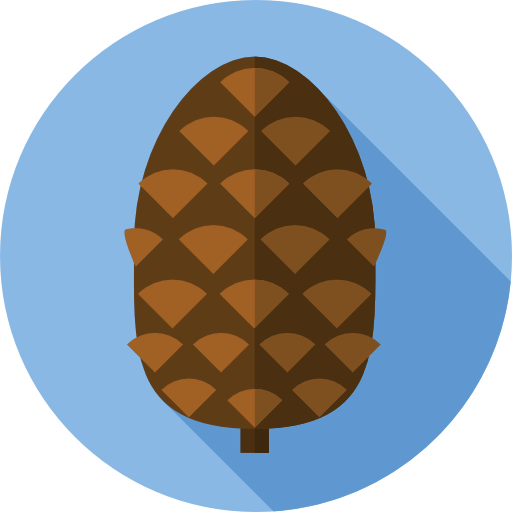 Nut icon