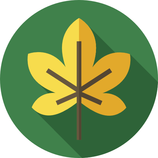 Leaf icon