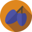 Plum icon 64x64