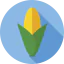 Corn icon 64x64