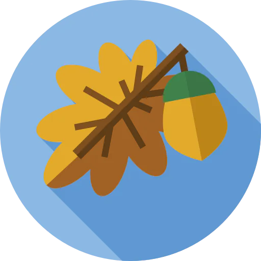 Acorn icon