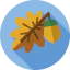 Acorn icon 64x64