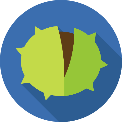 Chestnut icon