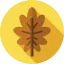 Leaf icon 64x64