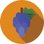 Grape icon 64x64