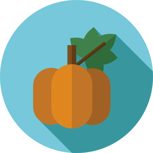 Pumpkin icon