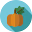 Pumpkin icon 64x64