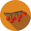 Berries icon 64x64