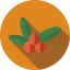 Berry icon 64x64