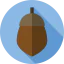 Acorn icon 64x64