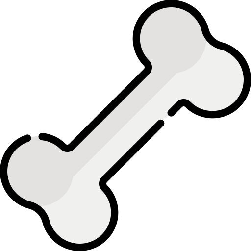 Bone icon