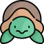 Turtle icon 64x64