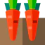 Carrot icon 64x64
