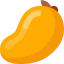 Mango 图标 64x64