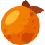 Orange 图标 64x64