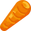 Carrot 图标 64x64