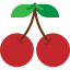 Cherry icon 64x64