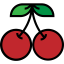Cherry icon 64x64