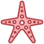 Starfish アイコン 64x64