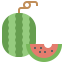 Watermelon Symbol 64x64