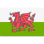 Wales Symbol 64x64