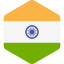 India icône 64x64