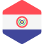 Paraguay 图标 64x64