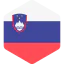 Slovenia 图标 64x64
