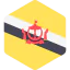 Brunei іконка 64x64
