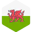 Wales Symbol 64x64