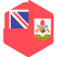 Bermuda Symbol 64x64