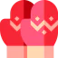 Mitten icon 64x64
