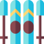 Skii icon 64x64