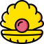 Oyster icon 64x64