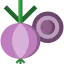 Onion 图标 64x64