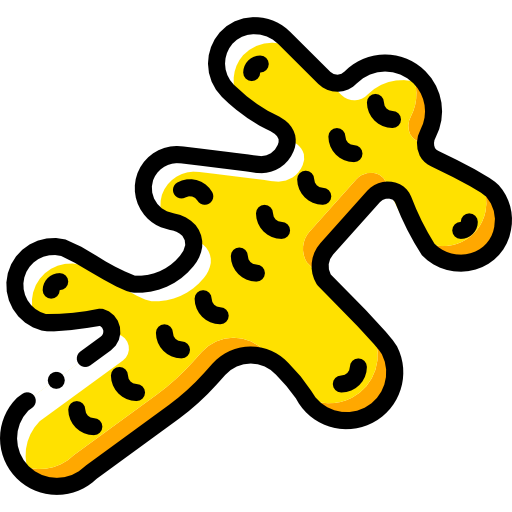 Ginger icon