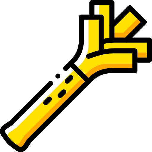 Leek icon