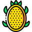 Pitaya icon 64x64