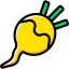Turnip icon 64x64