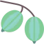 Gooseberry 상 64x64