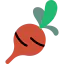 Radish 상 64x64