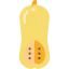 Butternut squash ícono 64x64