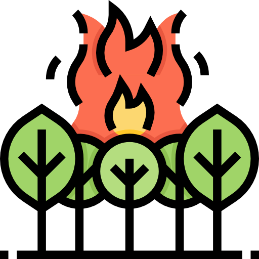 Fire icon