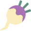 Turnip ícono 64x64