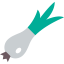 Onion ícono 64x64