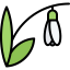 Snowdrop icon 64x64