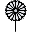 Dandelion icon 64x64