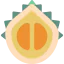 Persimmon ícono 64x64
