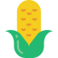 Corncob ícono 64x64