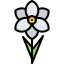 Narcissus icon 64x64
